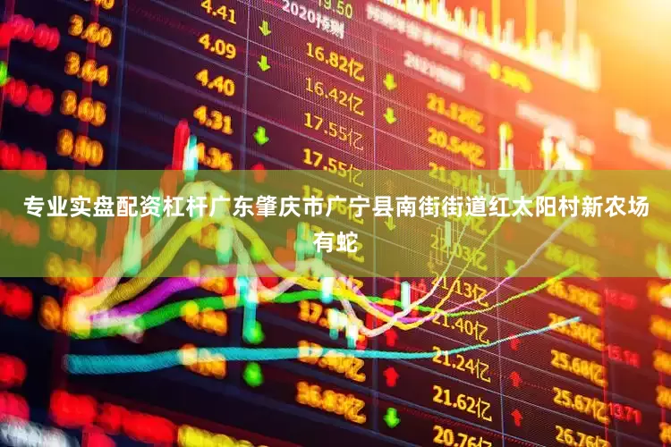 专业实盘配资杠杆广东肇庆市广宁县南街街道红太阳村新农场有蛇