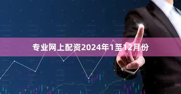 专业网上配资2024年1至12月份