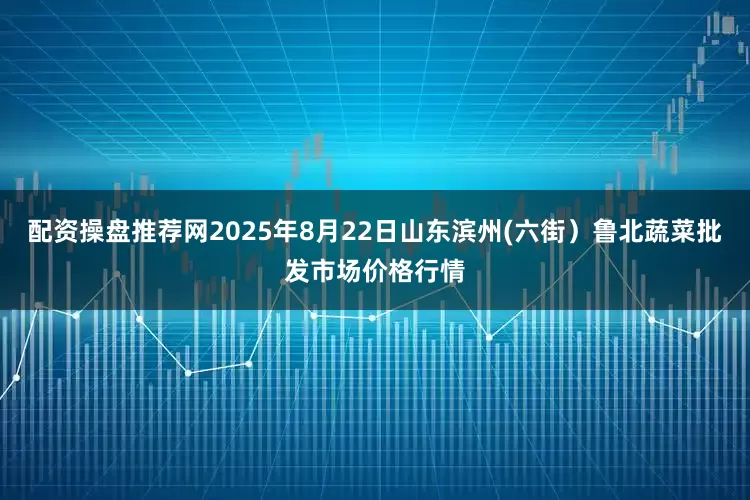 配资操盘推荐网2025年8月22日山东滨州(六街）鲁北蔬菜批发市场价格行情